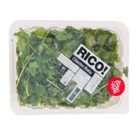 Cilantro Baby Pote 60 Gr