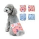 thumbnail image 1 of Calzón De Celo Para Perritas Lavable Talla M Raza Mediana Azul, 1 of 5