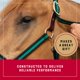 thumbnail image 4 of Cabezada para Caballo Weaver Equine Talla Media Verde, 4 of 6