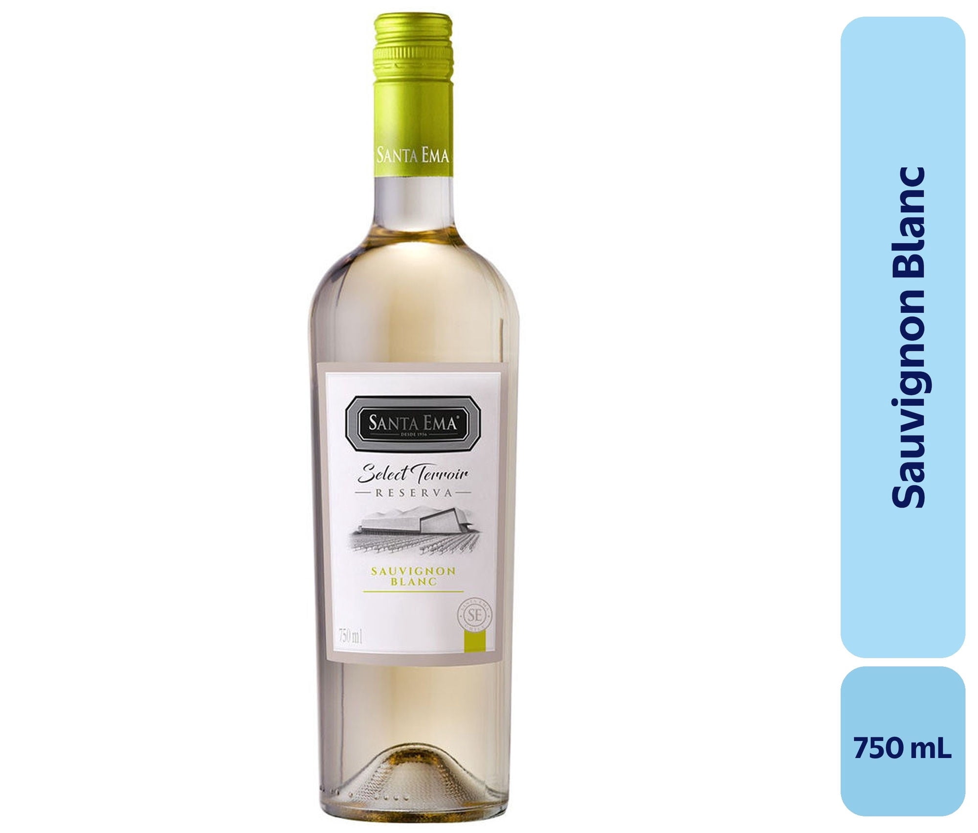 Vino Sauvignon Blanc Botella 750 mL Santa Ema