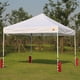 thumbnail image 5 of Juego de bolsas de arena Canopy Weights ABCCANOPY de 4 a 54,43 kg, color rojo, 5 of 5
