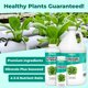 thumbnail image 2 of Nutrientes hidropónicos, nutrientes TPS para plantas comestibles, 1 litro, 2 of 5
