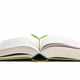 thumbnail image 3 of Bookmark Genuine Fred SPROUT Little Green, juego de 6, 3 of 6