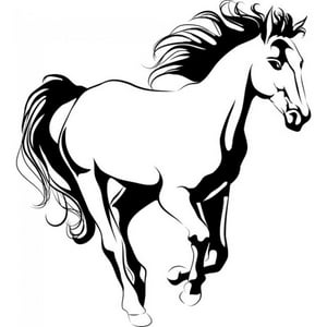 Rienda Libre Graphics - Decomural Horse Animals Farm Ws-17653