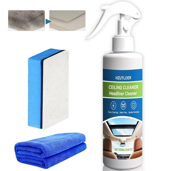 Limpiador multiusos para tapizado de techo de auto Hzutloer 256 ml