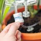 thumbnail image 3 of Sistema de riego automático Bubblegum Stuff Plant Life Support, 3 of 7