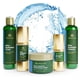 thumbnail image 1 of Set Cuidado Facial Tree of Life Ultra Hydration 5 Piezas, 1 of 3