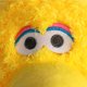 thumbnail image 5 of Almohada de felpa Buddy Jay Franco Sesame Street Big Bird 56 cm, 5 of 7