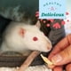 thumbnail image 5 of Golosinas De Plátano Liofilizadas Simple Rewards Para Mascotas Pequeñas, 5 of 7