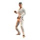 thumbnail image 1 of Figura de acción Diamond Select Toys Daniel LaRusso de 18 cm, 1 of 3