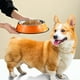 thumbnail image 3 of Comedero de acero inoxidable para perros con base de goma (paquete de 2), 3 of 5