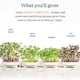 thumbnail image 4 of Kit completo para cultivar microgreens GARDYN de hidroponía interior, 4 of 9
