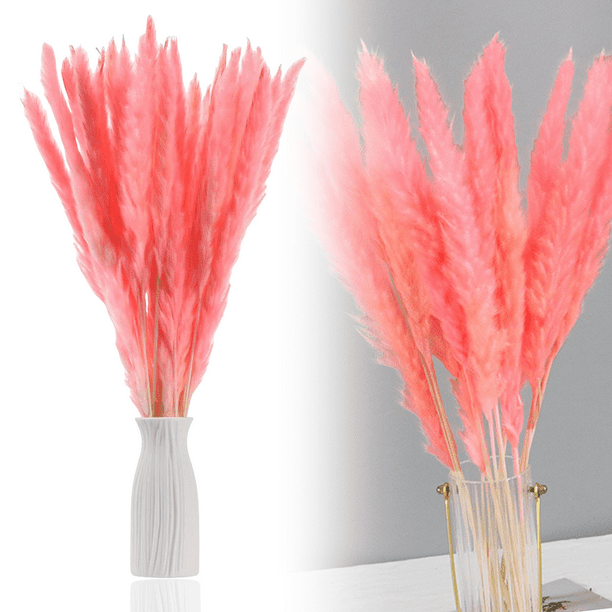 30 piezas de flores secas naturales de hierba de la pampa seca, planta de junco con caja, flores reales, ramos de flores románticas para bodas, sabrosas y duraderas para decoración del hogar DIY, a ju