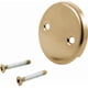 thumbnail image 1 of Placa de rebose y tornillos Delta Faucet RP31556CZ Champagne, 1 of 2