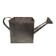thumbnail image 2 of Regadera decorativa metalica, 2 of 2