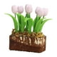 thumbnail image 1 of Accesorios De Bricolaje De Flores De Casa De Muñecas En Miniatura Para Exhibición De Ventana Rosa, 1 of 5