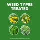 thumbnail image 3 of Weed & Feed Spectracide 20-0-0 con pulverizador QuickFlip, paquete de 3, 3 of 9