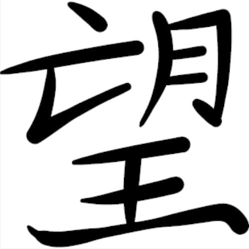 Sticker Chinese Symbol For Hope Kanji Auto Camioneta