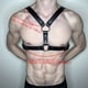 thumbnail image 2 of Punk Chest Harness for Men - Adjustable PU Leather Body Belt for Cosplay and Parties, 2 of 4