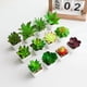 thumbnail image 4 of Plantas Artificiales Suxumhao Suculentas Realistas 4 Pzas, 4 of 4