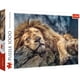 thumbnail image 1 of Rompecabezas Trefl Sleeping Lion 1000 piezas 69 x 48 cm, 1 of 7