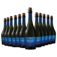 Tierra Del Fuego - Pack X12 Espumante Sparkling Wine 12,5% 750Ml