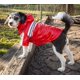 thumbnail image 2 of Impermeable para lluvia para perro Reflecta-Glow de Pet Life, chaqueta de PVC impermeable, 2 of 8