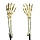 thumbnail image 1 of 2 Piezas De Luces LED De Estacas De Brazo De Esqueleto De Halloween Para Decoración De Festivales, 1 of 5