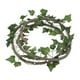 thumbnail image 3 of Enredaderas de reptiles para decoración de terrario, accesorios para tanque, enredaderas colgantes flexibles, decoración de terrario para reptiles par Estilo B, 3 of 5