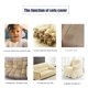 thumbnail image 4 of suxuMhao 1 Pieza Funda para Sofá Sillón Azul Oscuro, 1 Plaza 35-55 Pulgadas, Funda para Sillón Individual, Funda para Silla Decorativa, Fundas Elásticas para Sofá con Falda Fruncida, Funda Suave, 4 of 5