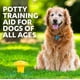 thumbnail image 5 of Ayuda para adiestramiento canino Simple Solution Pee Post de 33 cm con feromonas, 5 of 7