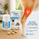 thumbnail image 4 of Procart 10 Suplemento Articular para Perros y Gatos - 60 Comprimidos, 4 of 5