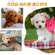 thumbnail image 5 of Uxcell Lazos Lindos para el Cabello de Perros, Lazo Pequeño de 1.6" con Clips, Barrettes para el Cabello, Accesorios de Disfraz para el Aseo de Mascotas, 5 of 7