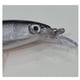thumbnail image 4 of Señuelo Rapala Extreme Spm Spotted Minnow Sxr-12 12cm 22gr Balsa Suspending, 4 of 6