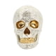 thumbnail image 5 of Decoración De Calavera De Halloween, Cabeza De Esqueleto Gótico Gótico Para Fiesta, Estantería, Jardín, 5 of 5