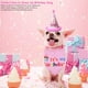 thumbnail image 4 of Bufanda de feliz cumpleaños para mascota, gato, perro y lindo sombrero de fiesta, sombrero de cumpleaños para niña y niño, conjunto de disfraces de fiesta de cumpleaños para mascota, 4 of 5