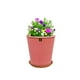 thumbnail image 1 of Set Maceta Zaia 20 cm Rosa Alegre con plato, 1 of 3