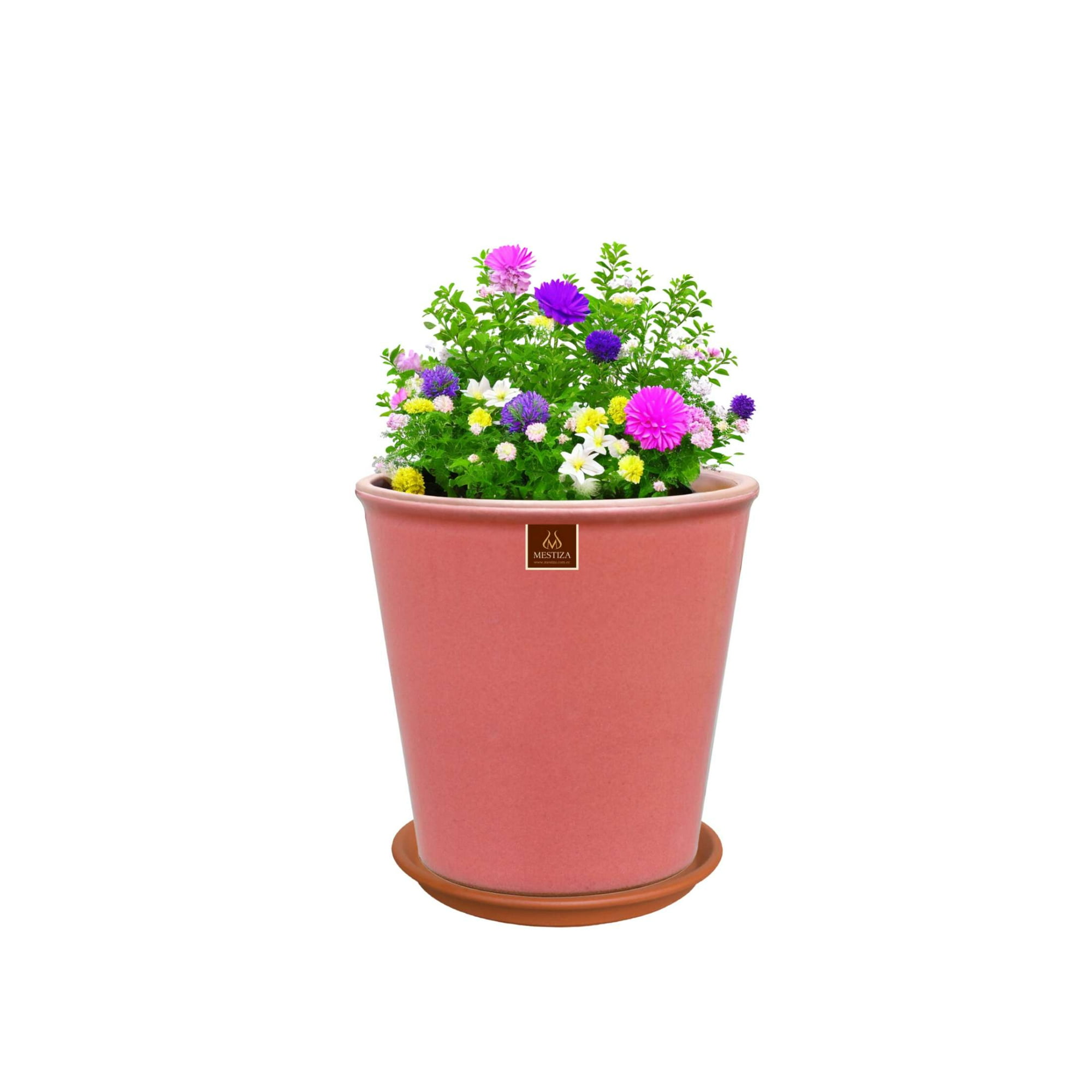 Pottery - Set Maceta Zaia 20 Cm Rosa Alegre Con Plato