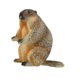 thumbnail image 4 of Martillas De Las Marmotas Figura Decorativa Mini Marmots Escultura Para Ni?os Ni?os Ni?os De Pie, 4 of 5
