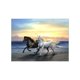 thumbnail image 1 of diy 5d diamond pintura bordado punto de cruz para la decoración del hogar de los caballos, 1 of 5