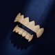 thumbnail image 5 of Grillz de vampiro dorado y plateado estilo hip hop para tus dientes, chapado en oro de 14 quilates, con diamantes de circonita cúbica, para hombres y mujeres, con barras de moldeado adicionales., 5 of 6
