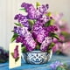 thumbnail image 3 of Tarjeta pop-up Freshcut Paper Garden Lilacs, ramo de 30 cm, 3 of 9