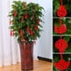 thumbnail image 2 of 8-Pack Red Lantern Hanging Ornaments: Add a Festive Touch to Your Chinese New Year Decorations!, 2 of 5