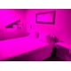 thumbnail image 5 of Ampolleta Led Colores Fiesta Luz Color Lampara Rosa rosa, 5 of 5