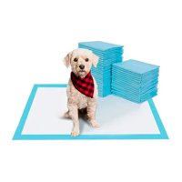 Genérico - 40 Pañales Tipo Sabanillas Mascotas 60X60Cm Perros Y Gatos