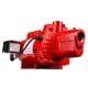 thumbnail image 1 of Bomba de chorro para pozos poco profundos Red Lion RJS-75-PREM 3/4 HP 16 GPM, 1 of 8