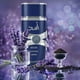 thumbnail image 2 of Asad Zanzibar Edp 100 Ml Hombre, 2 of 2