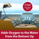 thumbnail image 4 of Aireador para estanques The Pond Guy Pond Aireator 1 para estanques de hasta 3,000 galones, 4 of 7