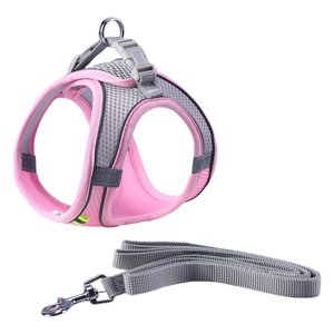 Ioensy - Arnés Para Perros Con Correa Para Perros Pequeños, Medianos Y Grandes Al Aire Libre Para Caminar De Noche