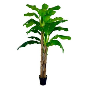 Arbusto Real - Planta Artificial Banano Premium 230 Cm. / 26 Hojas